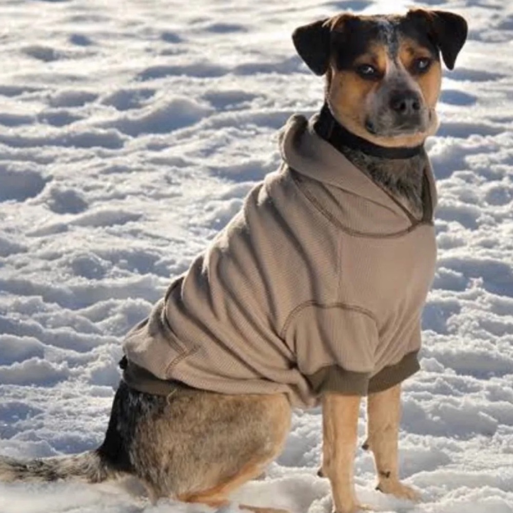 Thermal dog hoodie